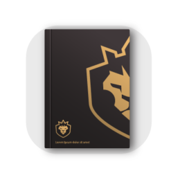 Bìa đựng hồ sơ